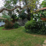 Casa Térrea à venda com 5 quartos em Brooklin, São Paulo, SP