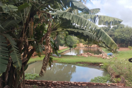 Chácara à venda com 3 quartos, sendo 1 suíte, em Chácara Flora Araraquara, Araraquara, SP