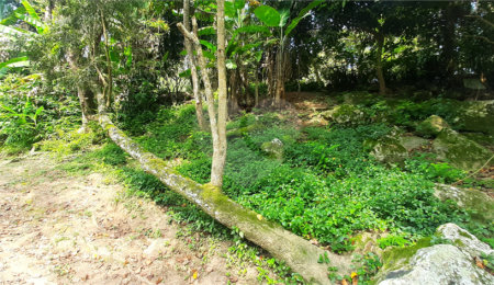 Chácara à venda com 10 quartos, sendo 20 suítes,  em Serra da Cantareira, Mairiporã, SP