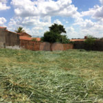 Terreno à venda em Jardim Novo Campos Elíseos, Campinas, SP