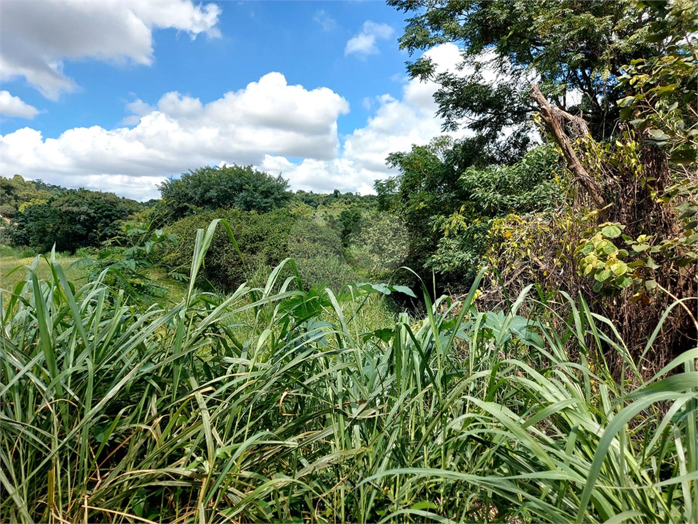 Terreno à venda em Abadia, Louveira, SP