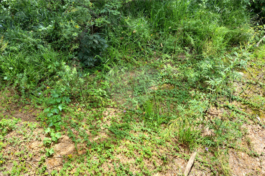 Terreno à venda em Rio Acima, Mairiporã, SP
