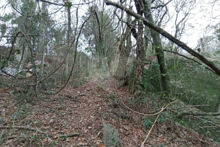 Terreno à venda em Chácaras Alpina, Valinhos, SP