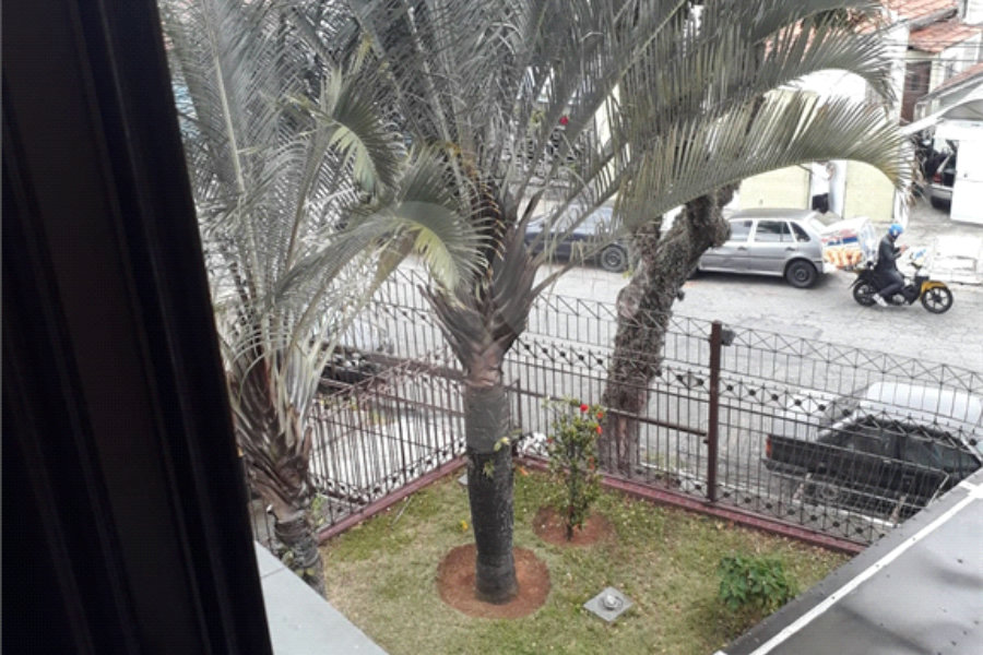 Apartamento à venda com 3 quartos, sendo 1 suíte, em Casa Verde, São Paulo, SP