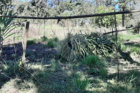 Chácara à venda com 6 quartos, sendo 3 suítes, em Paiol Velho, Vinhedo, SP