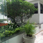 Apartamento à venda com 3 quartos, sendo 1 suíte,  em Indianópolis, São Paulo, SP