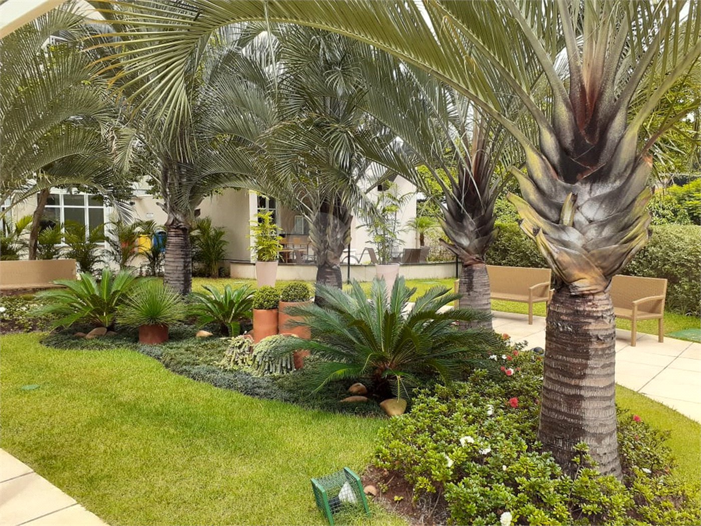 Apartamento à venda com 3 quartos, sendo 2 suítes, em Vila Leonor, São Paulo, SP