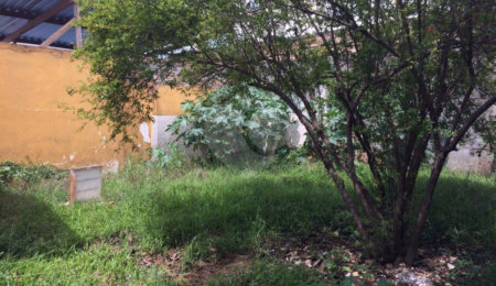 Terreno à venda com 1 quarto em Carandiru, São Paulo, SP