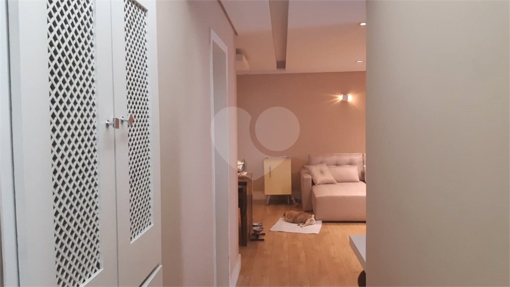 Apartamento à venda com 3 quartos, sendo 1 suíte, em Mandaqui, São Paulo, SP