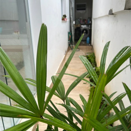 Sobrado à venda com 3 quartos, sendo 1 suíte, em Jardim Vazani, São Paulo, SP