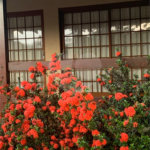 Casa à venda com 4 quartos, sendo 2 suítes, em Jardim Canadá, Ribeirão Preto, SP