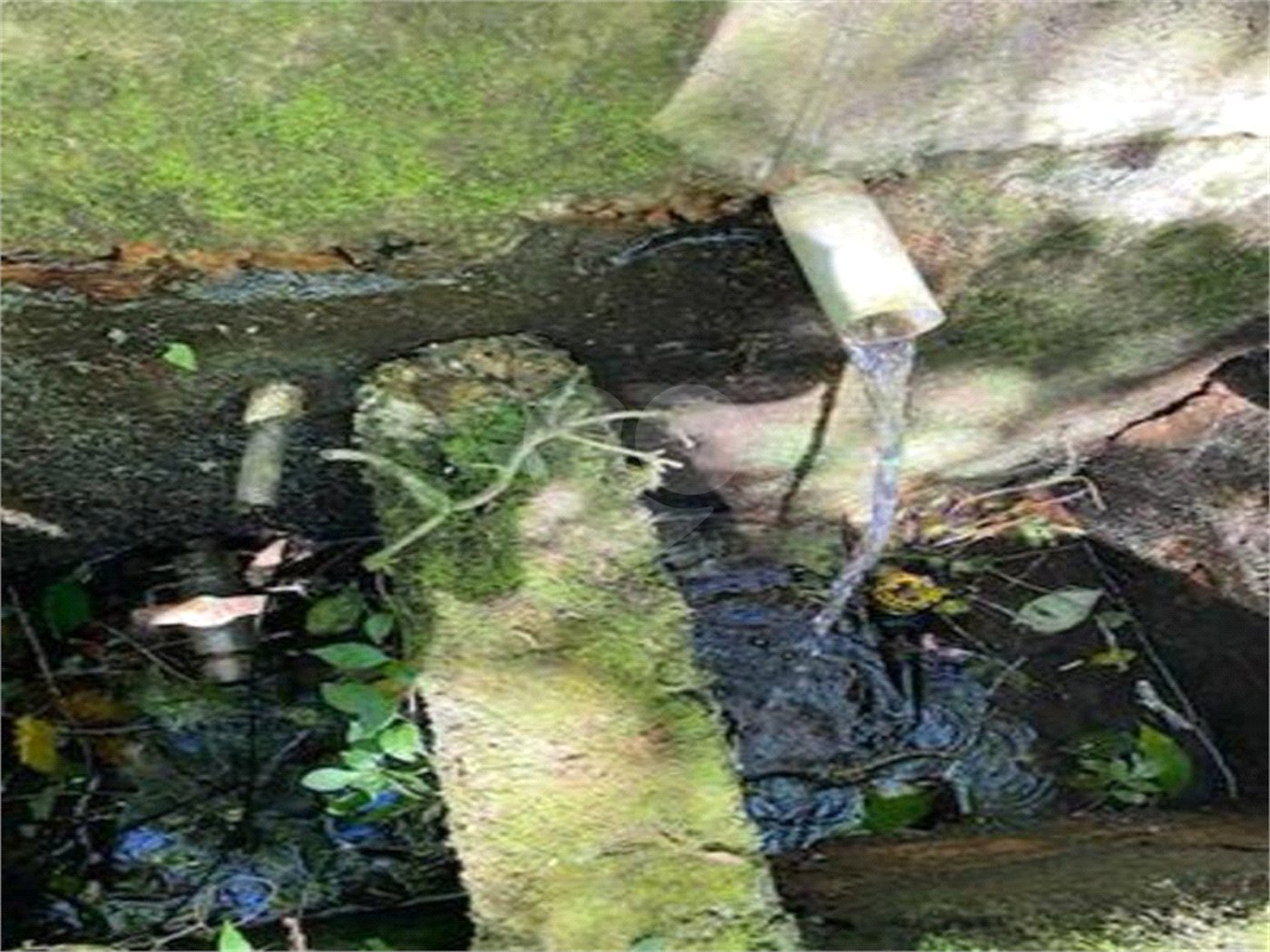 Sítio à venda com 2 quartos, sendo 1 suíte, em Ibiúna, Ibiúna, SP