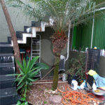 Casa à venda com 3 quartos, sendo 1 suíte, em Vila Guilherme, São Paulo, SP