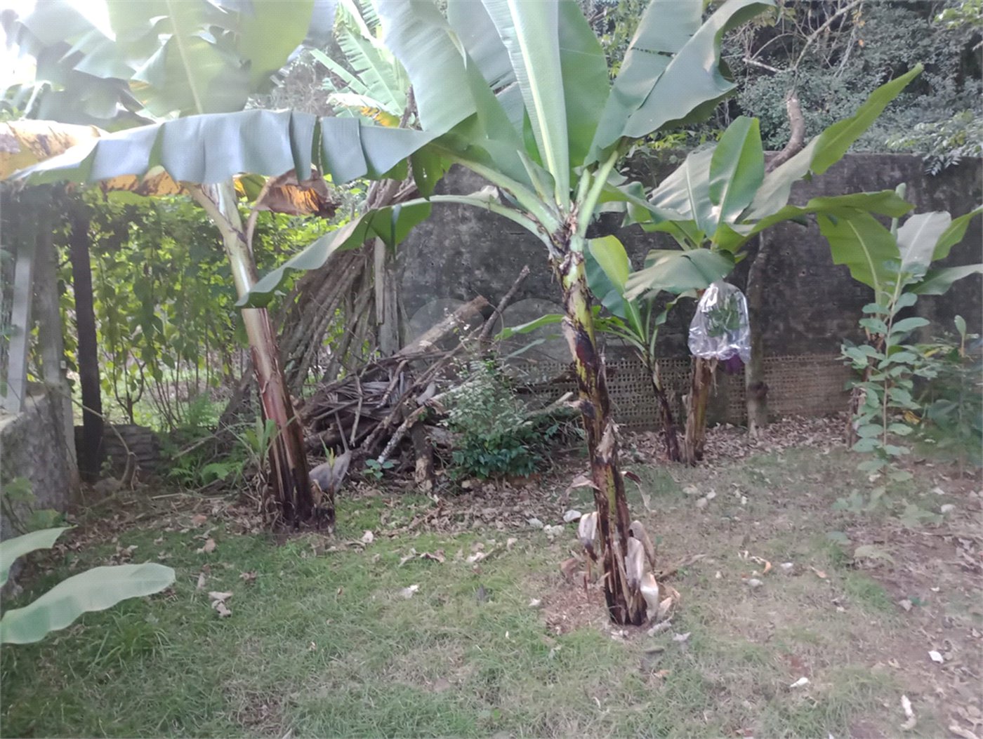Chácara à venda com 5 quartos, sendo 1 suíte, em Jardim Marabá, Itapetininga, SP