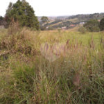 Terreno à venda em Monterrey, Louveira, SP