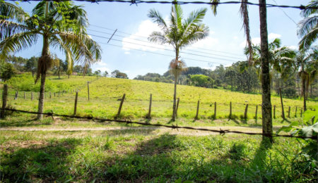 Terreno à venda em Vila Darcy Penteado (mailasqui), São Roque, SP