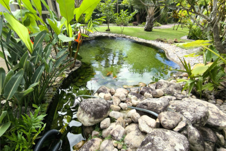 Casa à venda com 4 quartos, sendo 2 suítes, no Centro, Santa Cruz Cabrália, BA