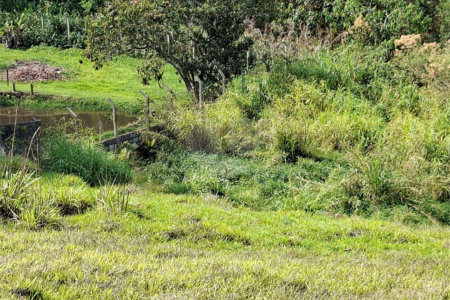 Terreno à venda em Chácara Fernão Dias, Bragança Paulista, SP