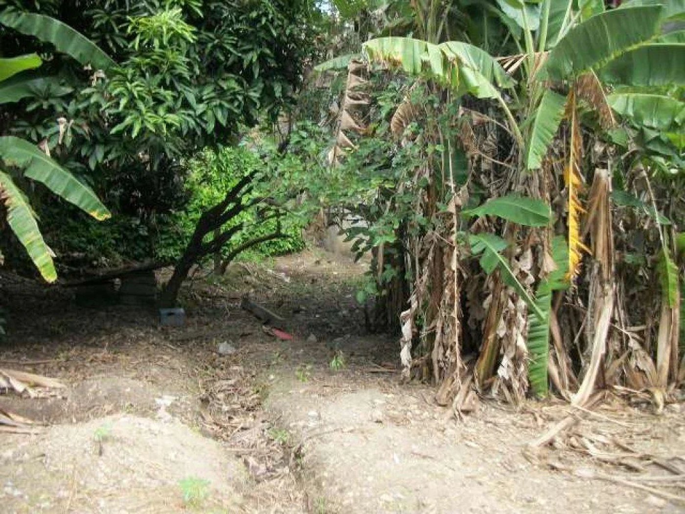 Terreno à venda em Jardim Jussara, São Paulo, SP