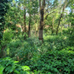 Terreno à venda no condomínio Horto do Ypê, São Paulo - SP