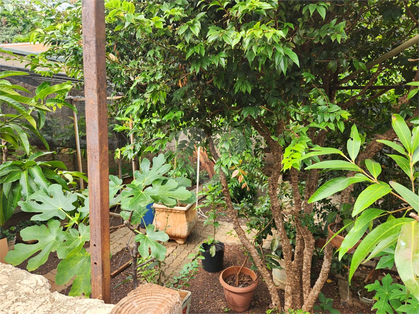 Casa à venda com 5 quartos, sendo 4 suítes, em Jardim do Carmo, Araraquara, SP