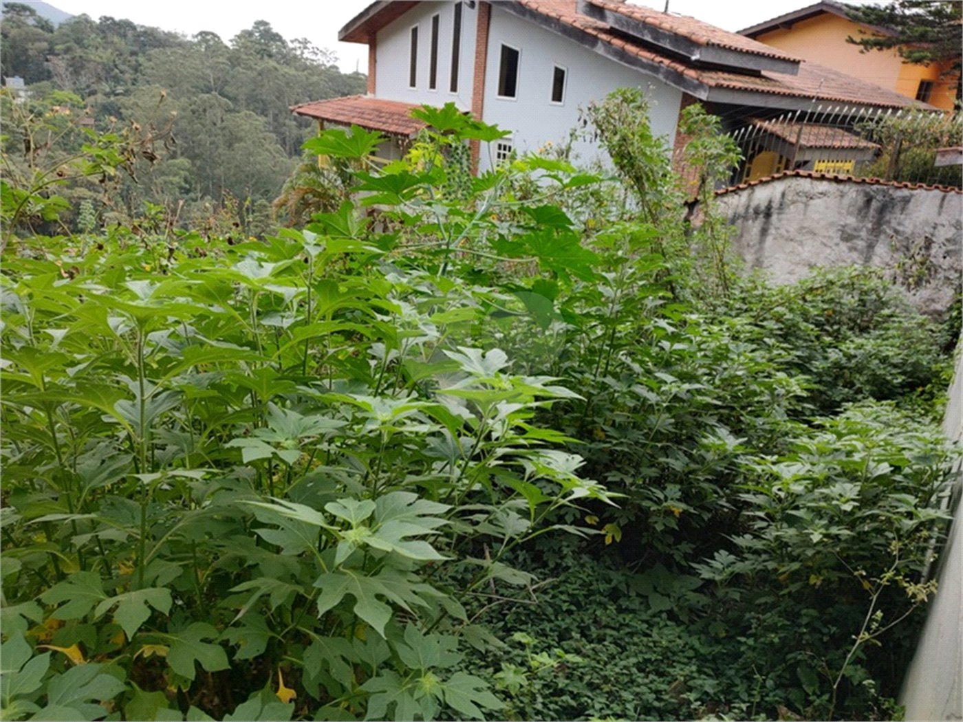 Terreno à venda em Barro Branco (zona Norte), São Paulo, SP