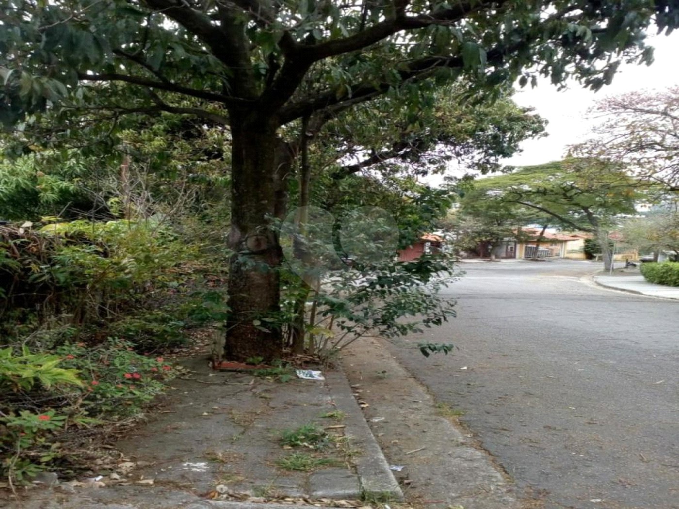 Casa à venda com 3 quartos em Instituto de Previdência, São Paulo, SP