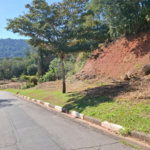 Terreno à venda em Horto Florestal, São Paulo, SP
