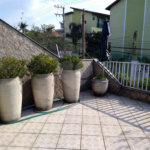 Casa à venda com 3 quartos, sendo 1 suíte, em Parque Vitória, São Paulo, SP