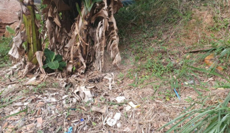 Terreno à venda em Vila Indiana, São Paulo, SP
