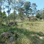 Área de Terra à venda em Monte Alegre, Vinhedo, SP