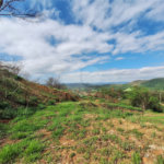 Área de Terra à venda com 1 suíte em Cocais, Itatiba, SP