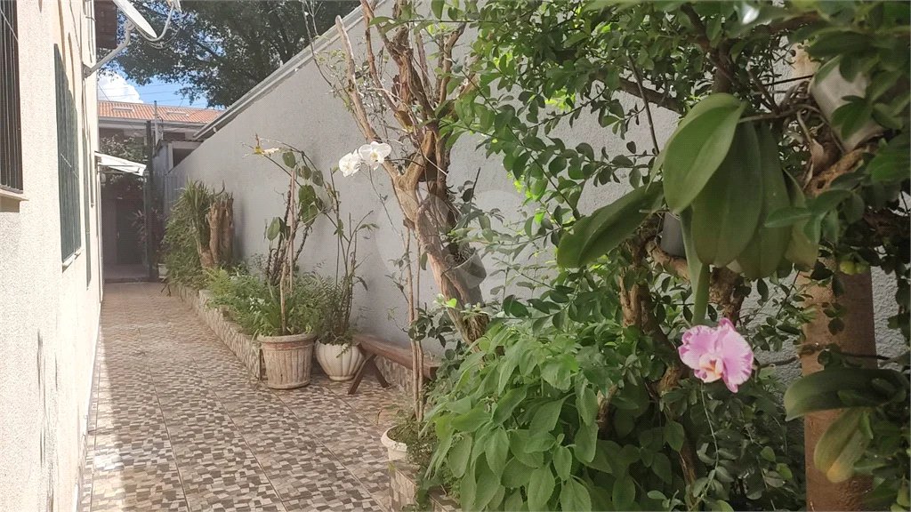 Sobrado à venda com 3 quartos, sendo 1 suíte, em Pirituba, São Paulo, SP