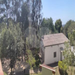 Apartamento à venda com 3 quartos em Jardim Juliana, Indaiatuba, SP