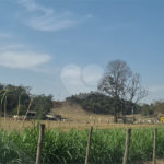VENDA SÍTIO 48 hectares com estruura para granja, hidroponia e gado