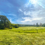 Sítio à venda com 3 quartos em Campo de Boituva, Boituva, SP