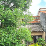 Casa à venda com 3 quartos, sendo 1 suíte, em Horto Florestal, São Paulo, SP
