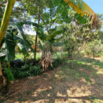 Casa à venda com 4 quartos, sendo 2 suítes, em Bosque, Vinhedo, SP
