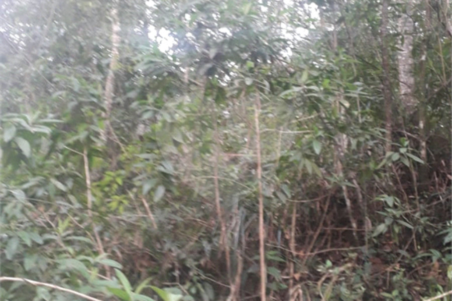 Terreno à venda em Suasalito, Mairiporã, SP