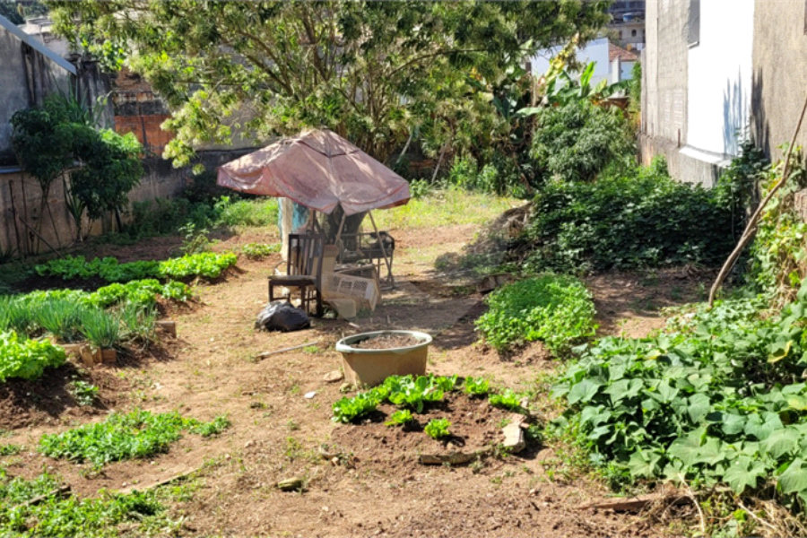 Terreno à venda em Tucuruvi, São Paulo, SP