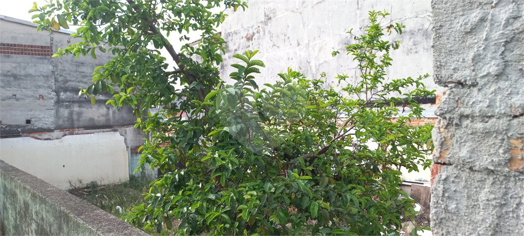 Terreno à venda em Vila Maria, São Paulo, SP