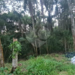 Condomínio à venda em Serra da Cantareira, Mairiporã, SP