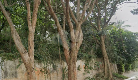 Terreno à venda em Chácara Flora, São Paulo, SP