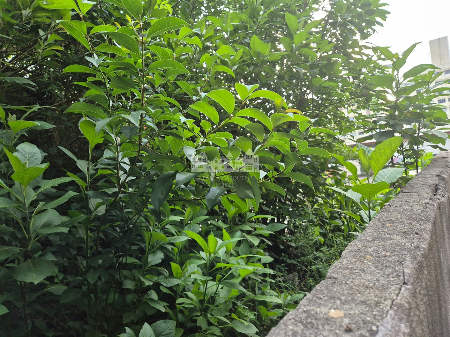 Terreno, 341 m² - Foto 8