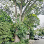 Sobrado à venda com 3 quartos em Tremembé, São Paulo, SP