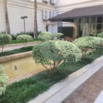 Apartamento à venda com 3 quartos, sendo 2 suítes, em Vila Uberabinha, São Paulo, SP