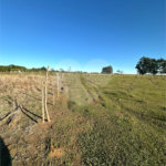 Terreno à venda em Sanga Puita, Ponta Porã, MS