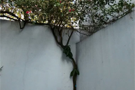 Casa à venda com 3 suítes em Jardim das Vertentes, São Paulo, SP