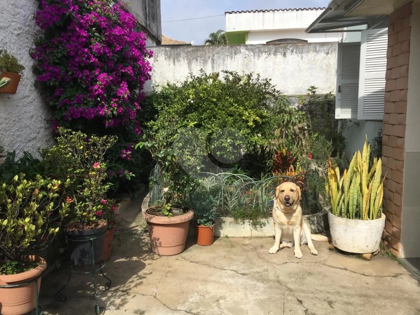 Sobrado à venda na Mooca