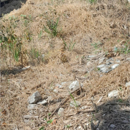 Terreno à venda em Jardim Maristela, Atibaia, SP